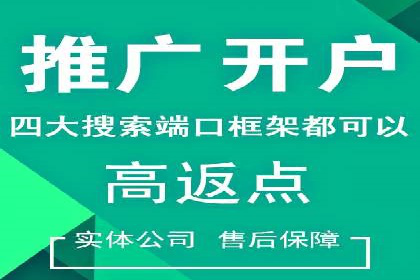 某某sem推广公司实战案例：精准投放提升转化率