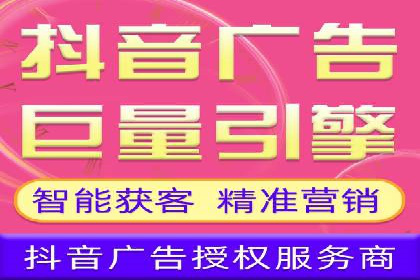 某企业SEM广告投放的ROI提升策略及效果展示